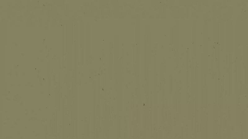 Molde para tartas 30 cm Zenker Green Vision
