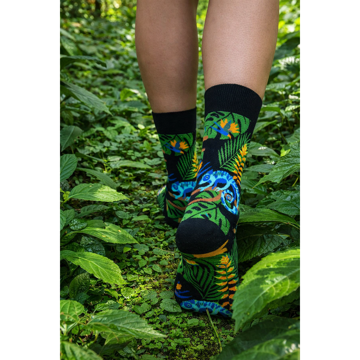 Tintl socks | Animal - Chameleon
