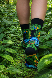 Tintl socks | Animal - Chameleon