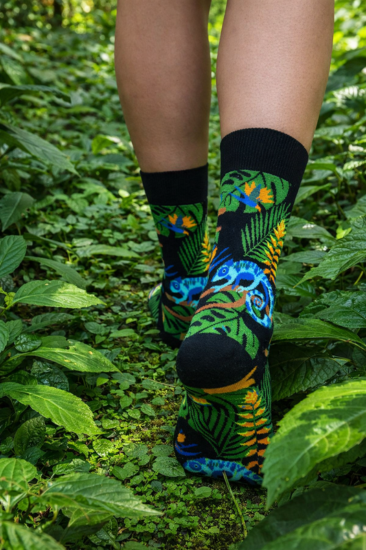 Tintl socks | Animal - Chameleon
