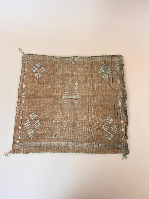 CACTUS SILK KUSSEN