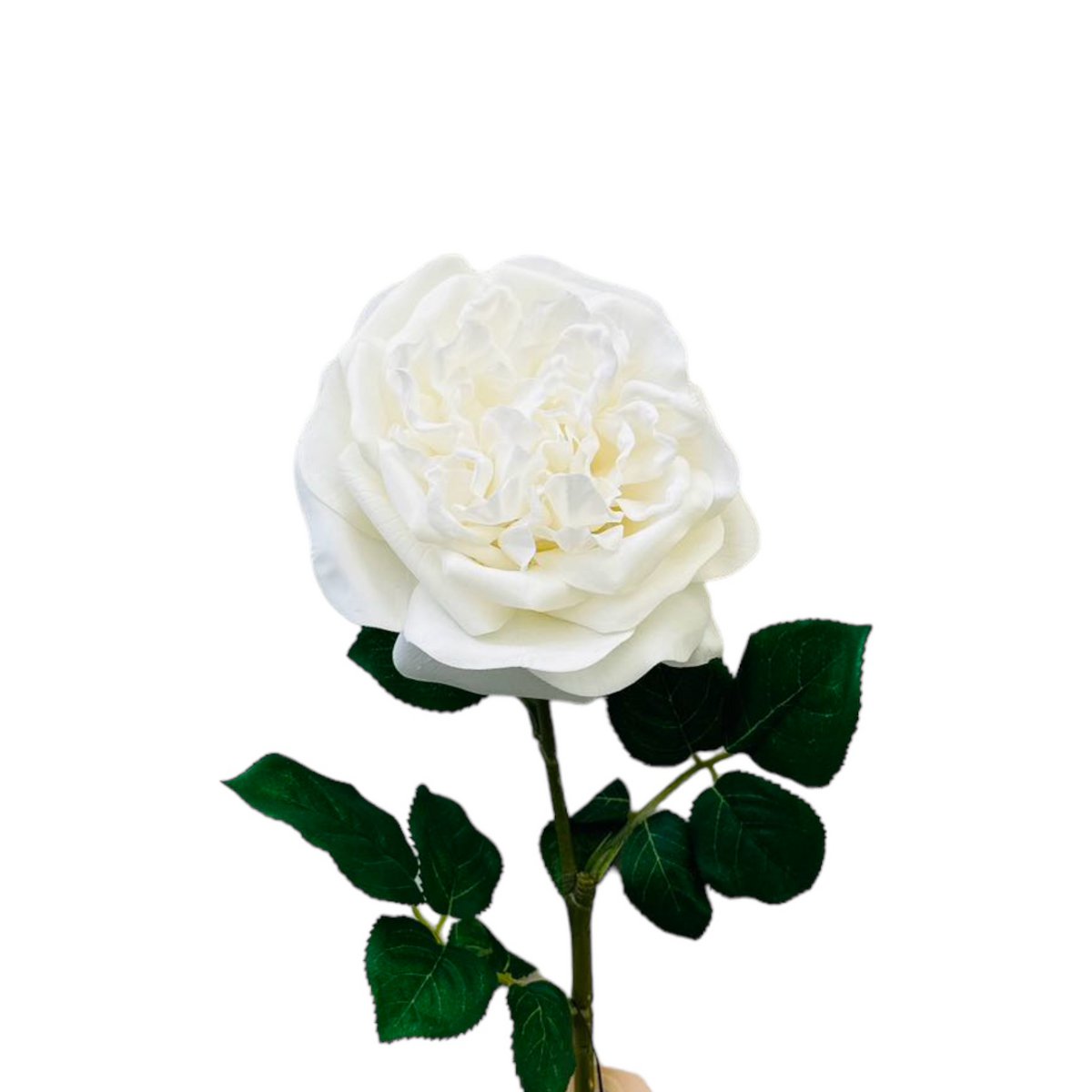 QMF Hand Touch Rose 65cm Z 2szt