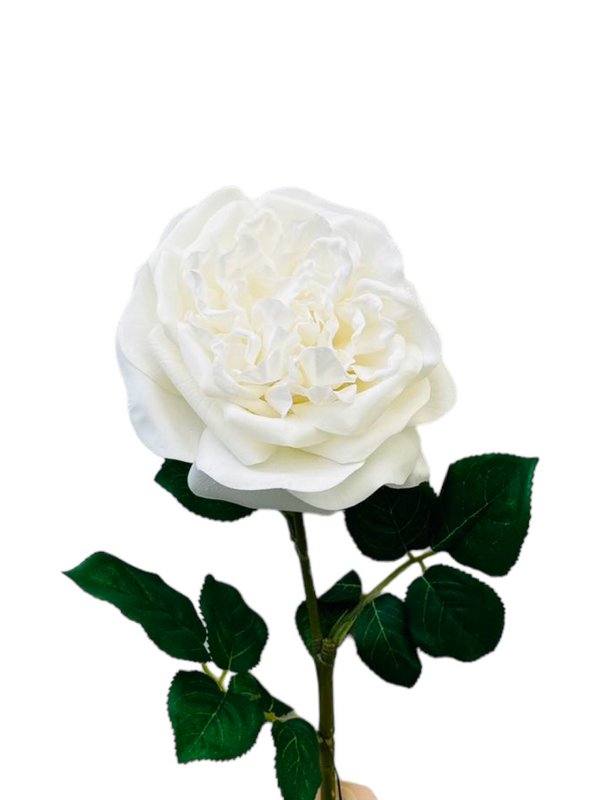 QMF Hand Touch Rose 65cm WIT 2STK