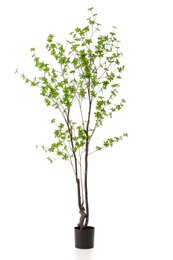 Kunstplant - Tropseolum - Oost Incististy - 210 cm