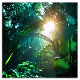 Acrylic glass billede - New Life
