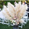 Pampas fluffy creme