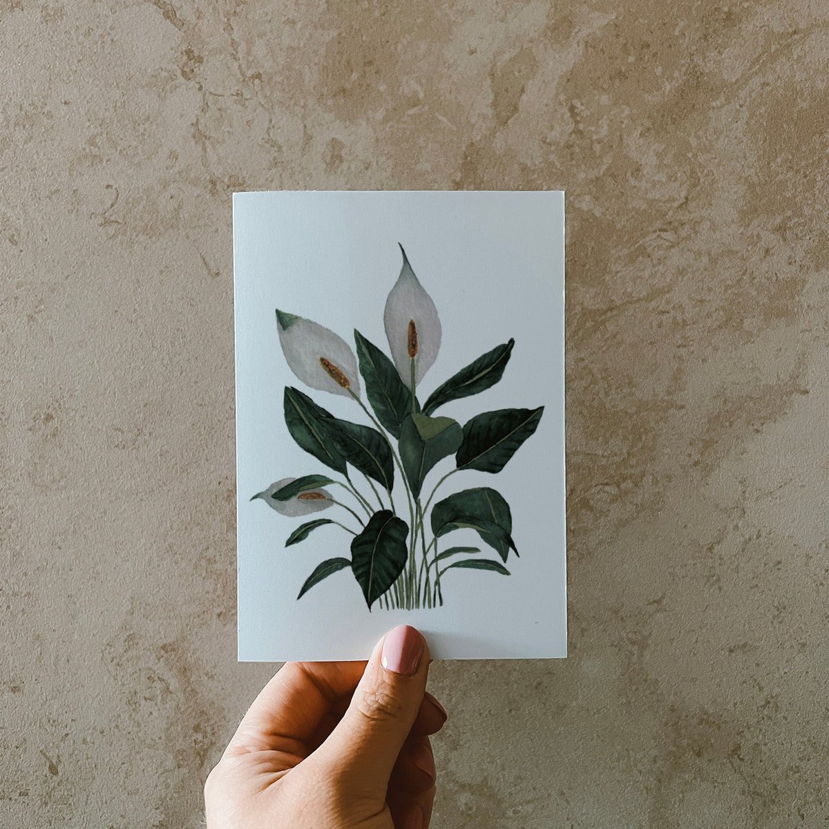 Postkarte »Einblatt«, DIN A6, Naturpapier