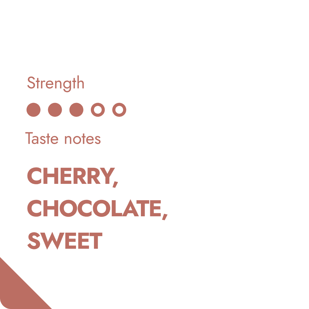 Guatemala Coffee Beans