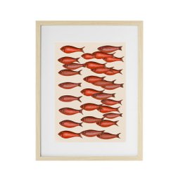 Banc de poisson rouges- Art print