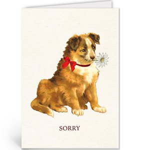 NBA081 - Sorry