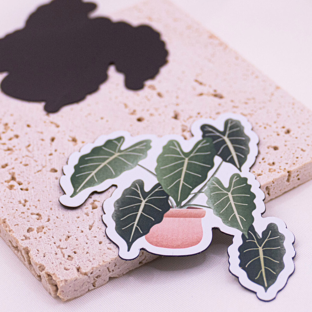 Magnet Plant Begonia Réfrigérateur Aimant Plante d’intérieur - Cadeau Anniversaire Plante en pot