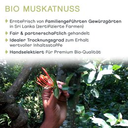 Hel muskatnød, ØKOLOGISK, 10 stk