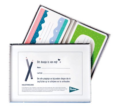 Schede di memoria mini Milestone®