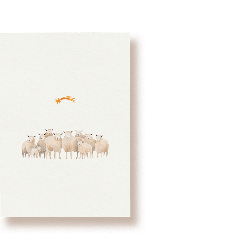 Navidad de ovejas | tarjeta postal