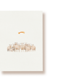 Schafe Weihnachten | Postkarte