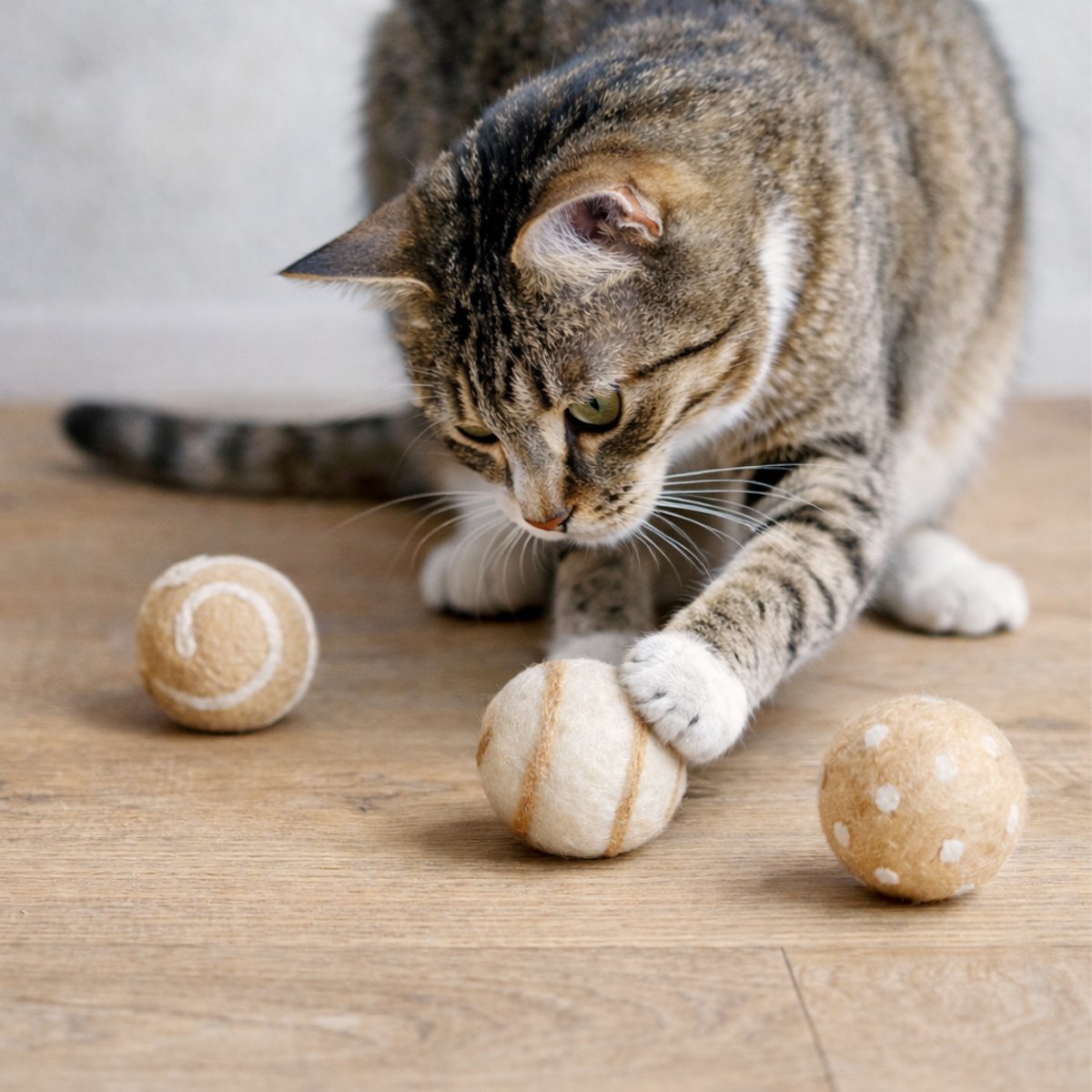 Cattoy ball creme SET 3