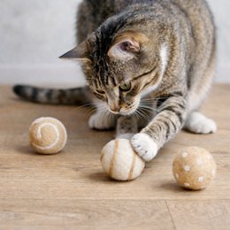 Cattoy ball creme SET 3