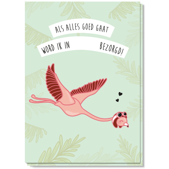 Zwangerschap aankondiging | Flamingo