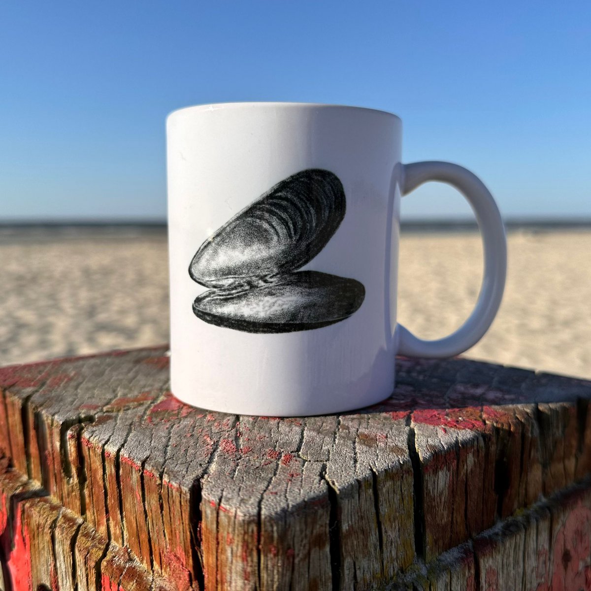 Mok Mossel | Mug mussel | Tasse Muschel