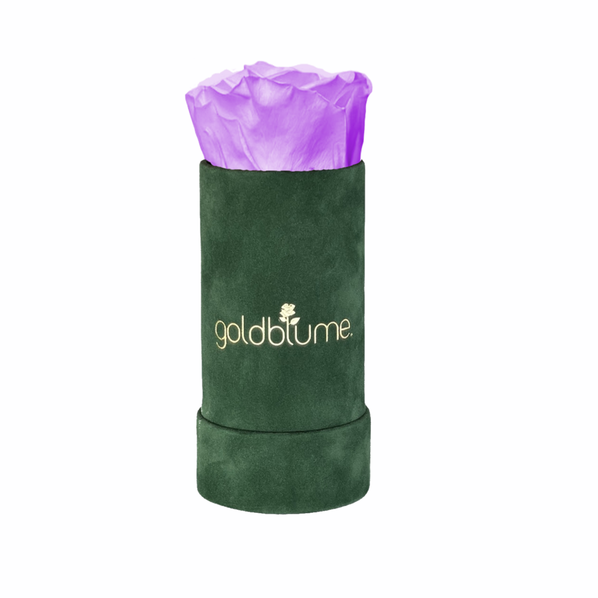 Velvet Green Collection