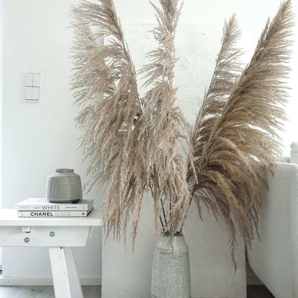 beige 115 cm 1 Bund