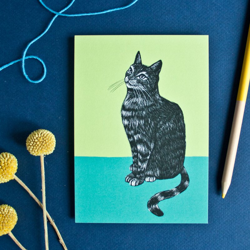 Ansichtkaart | Kat