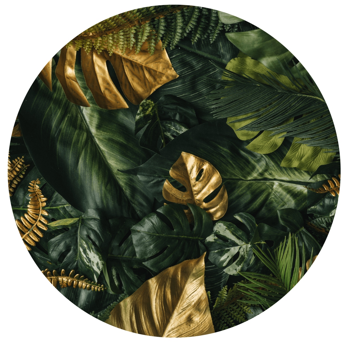 Green Gold Leaves