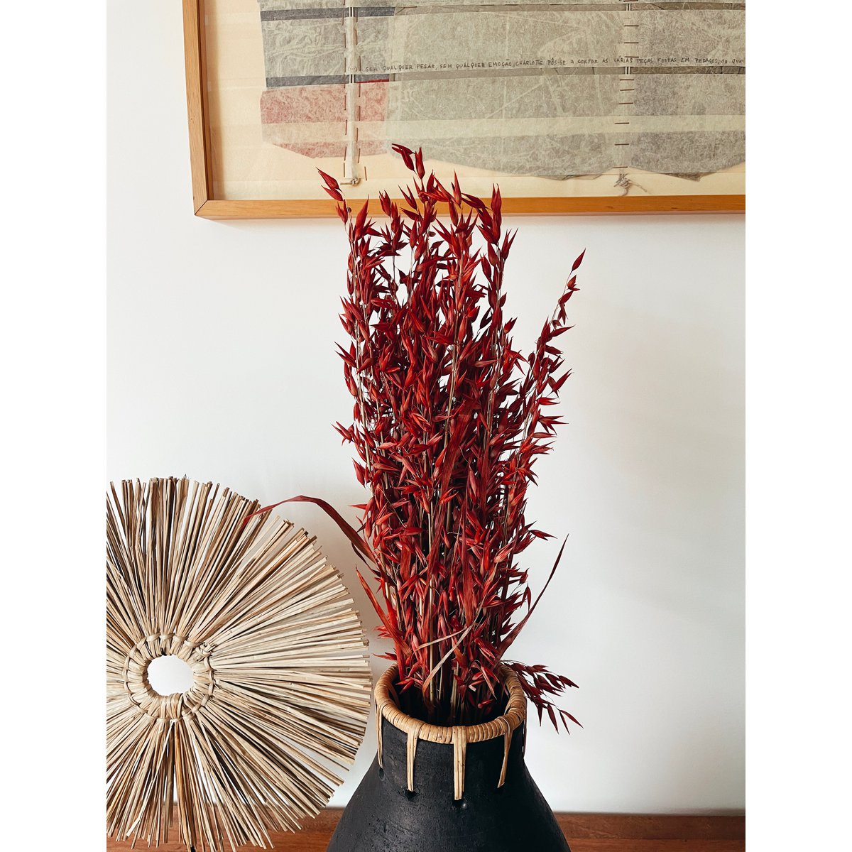 Fiori secchi rossi di Avena