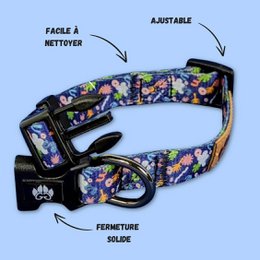 Deep agua dog collar