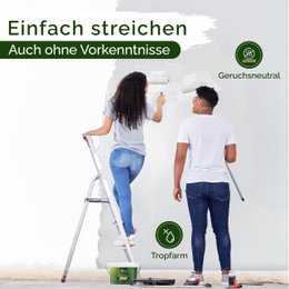 Veluxis® Wandfarbe Grau für den Innenraum - 2,5 Liter & Deckkraft-Klasse 1, Streifenfrei, tropfarm & Öko Farbe, VOC-frei - (Pure Pitaya)