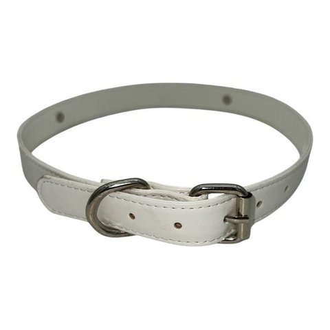 Kraag/nekband - turquoise - bdsm - diameter 17 cm - lengte 60 cm - breedte 1,5 cm
