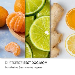 Duftkerze Peanuts Best Dog Mom - 250g