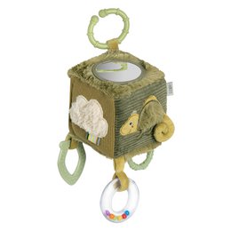 Activity cube chameleon