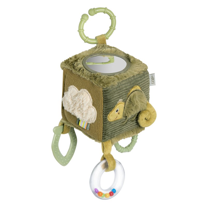Activity cube chameleon