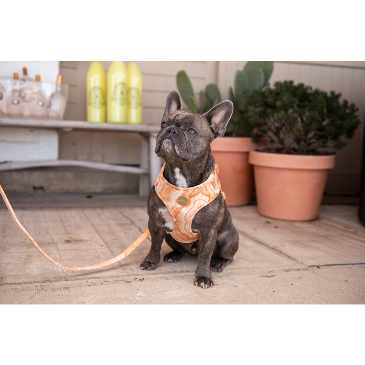 Velvy marble harness