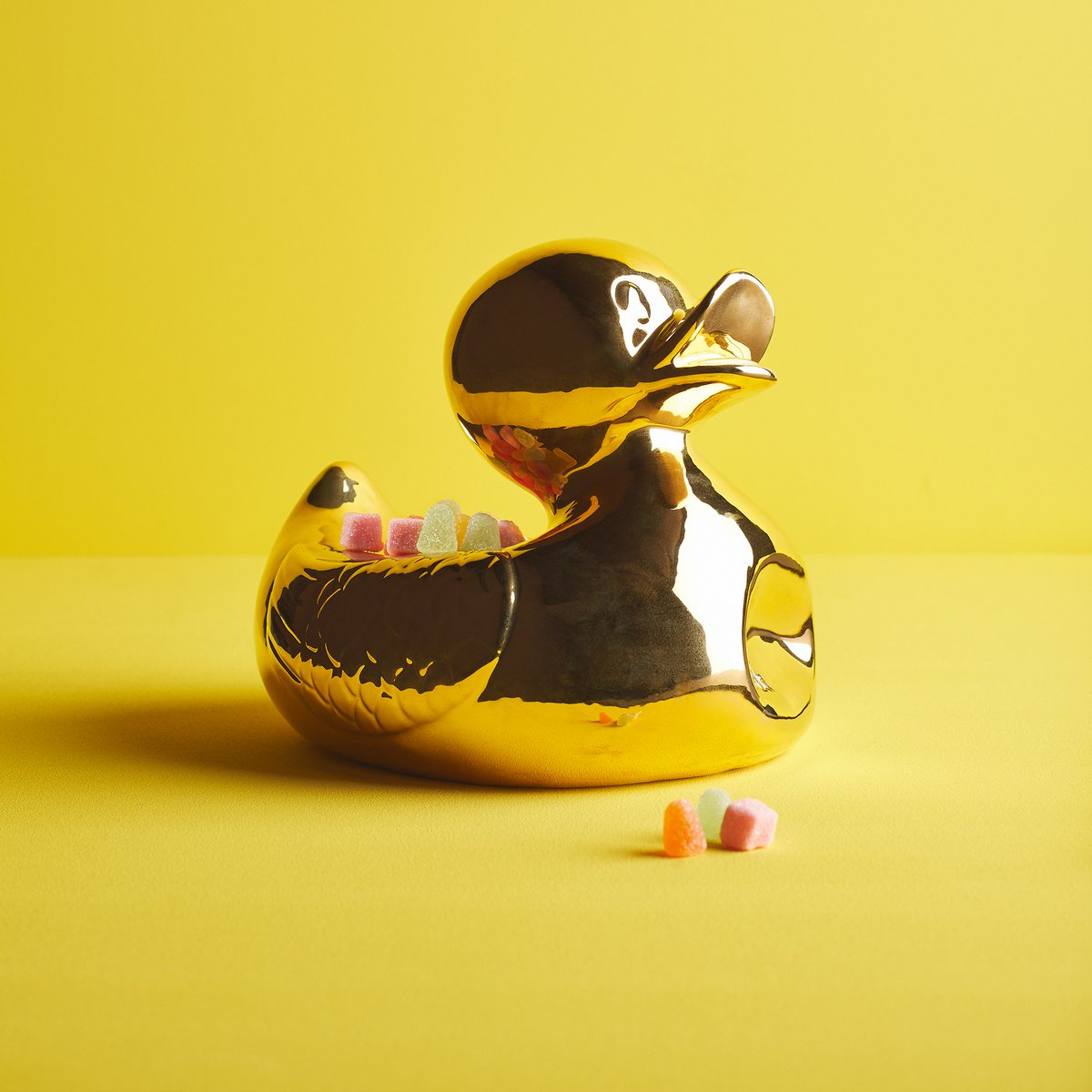 Mr. Ugly Duckling Small & Large