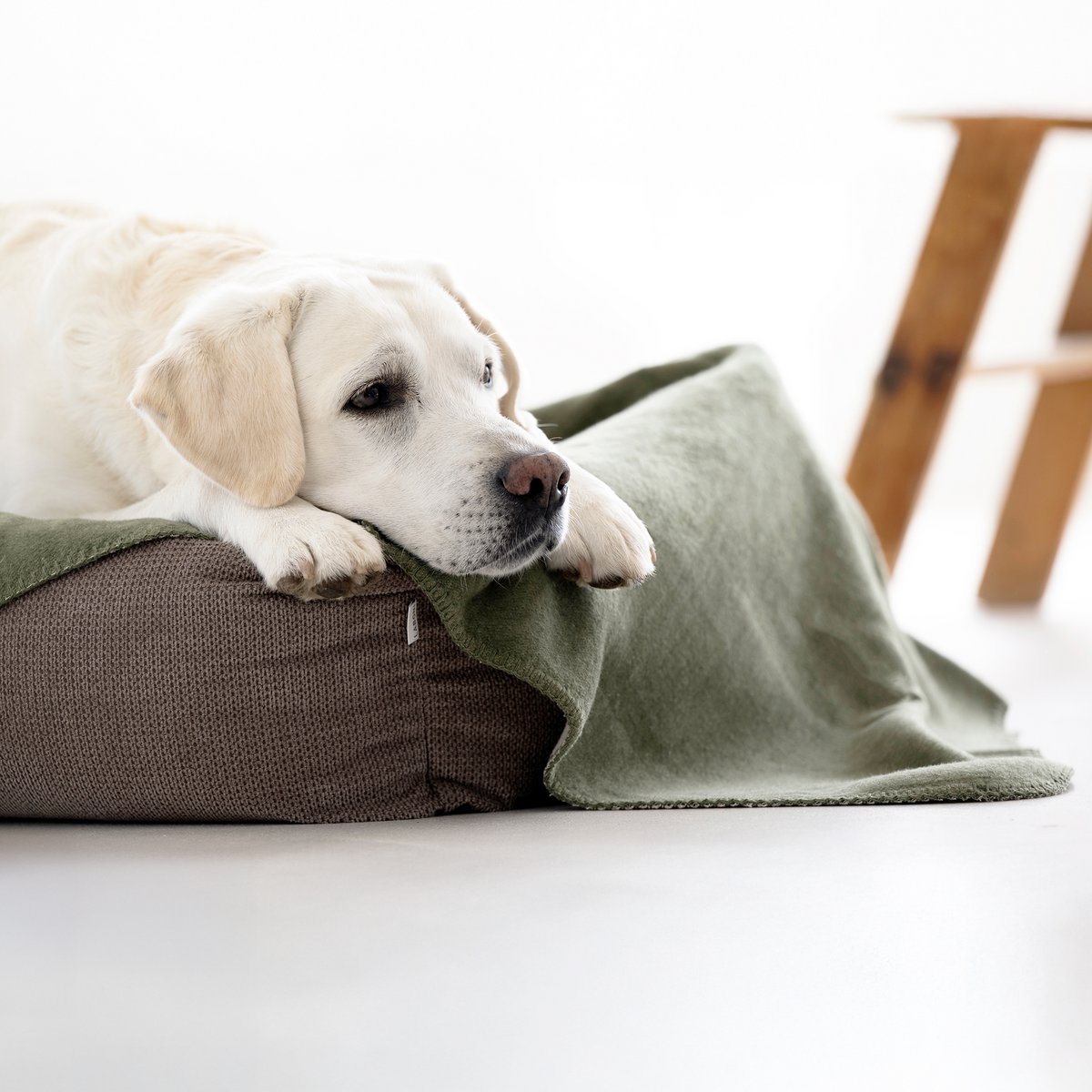 TUDOR ORTHO | Premium Orthopedic Dog Bed