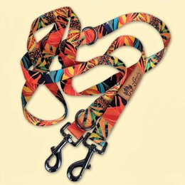 Tropical multi-position leash
