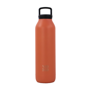 500 ML INSULATED BOTTLE WITH RED INFUSER