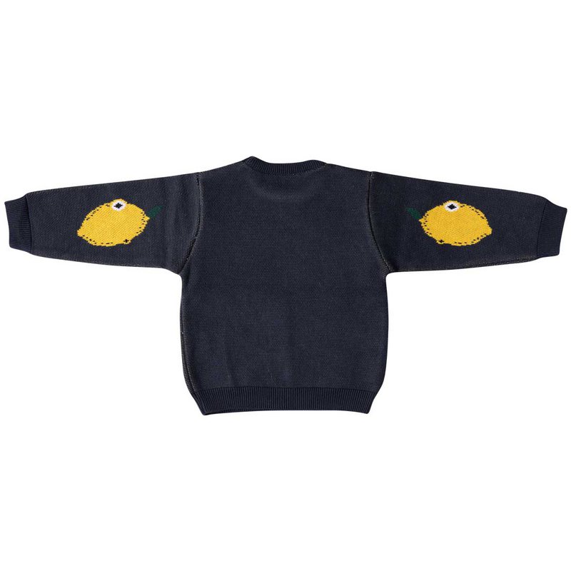 Bio Pullover " Lemon" Dunkelgrau