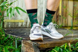 Sports - Hiking