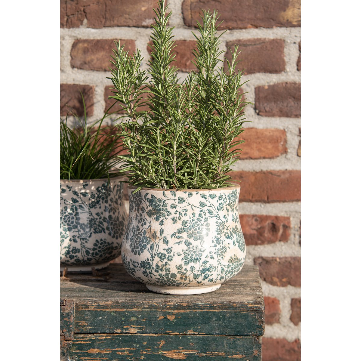 Bloempot Ø 18x15 cm Beige Groen Keramiek Bloemen Bloempot Binnen