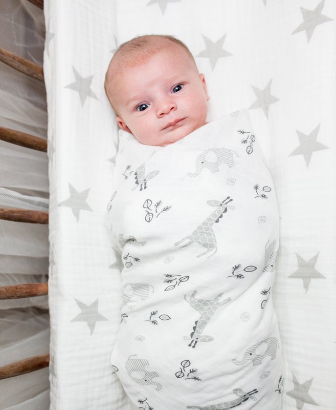 Lulujo Swaddle 120x120 - Afrika
