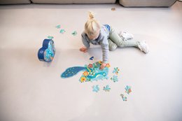Contour Puzzel - Pauw