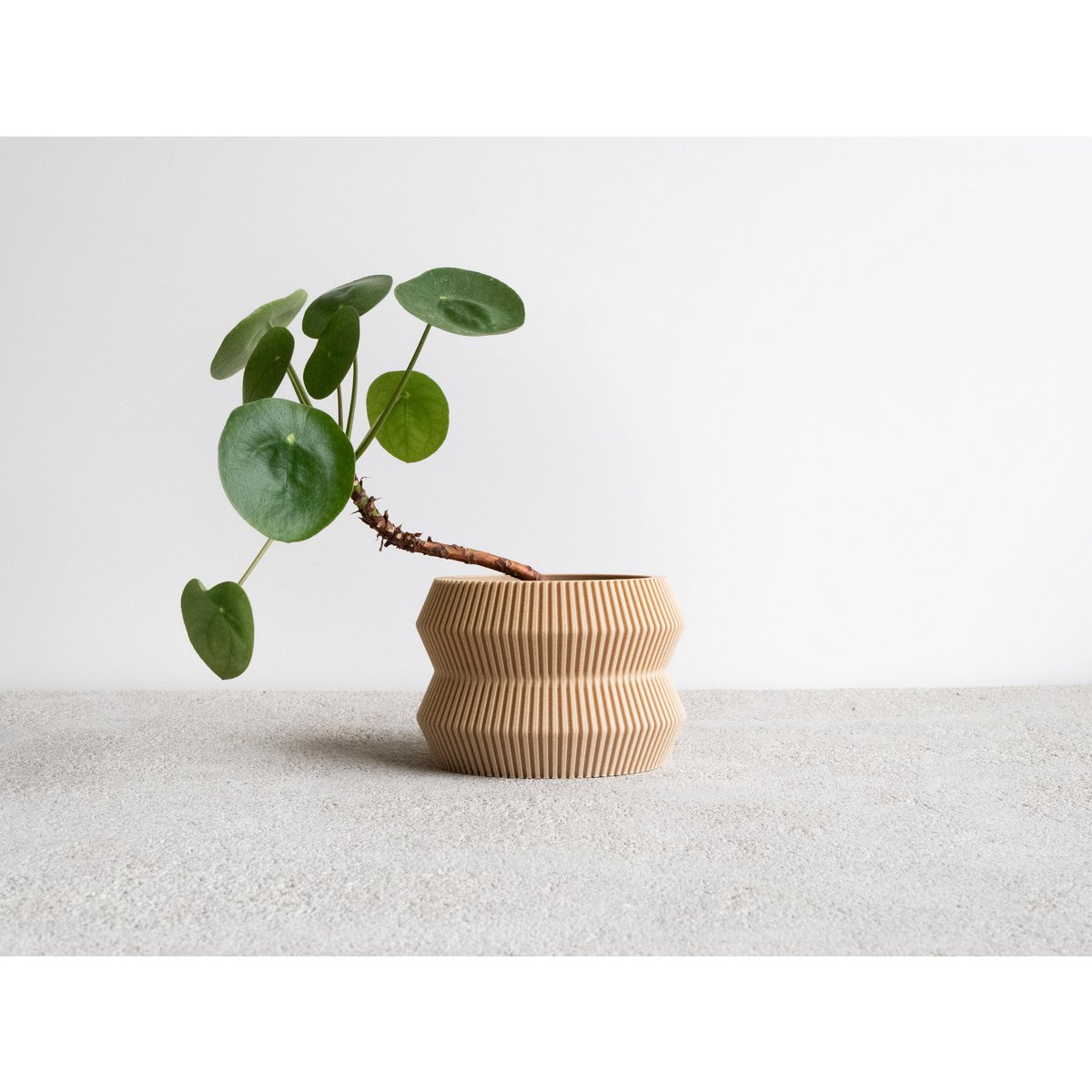 ITO Indoor Planter