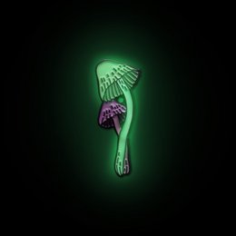 Email Pin "Magic Mushroom"
