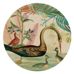 NIN-NIT