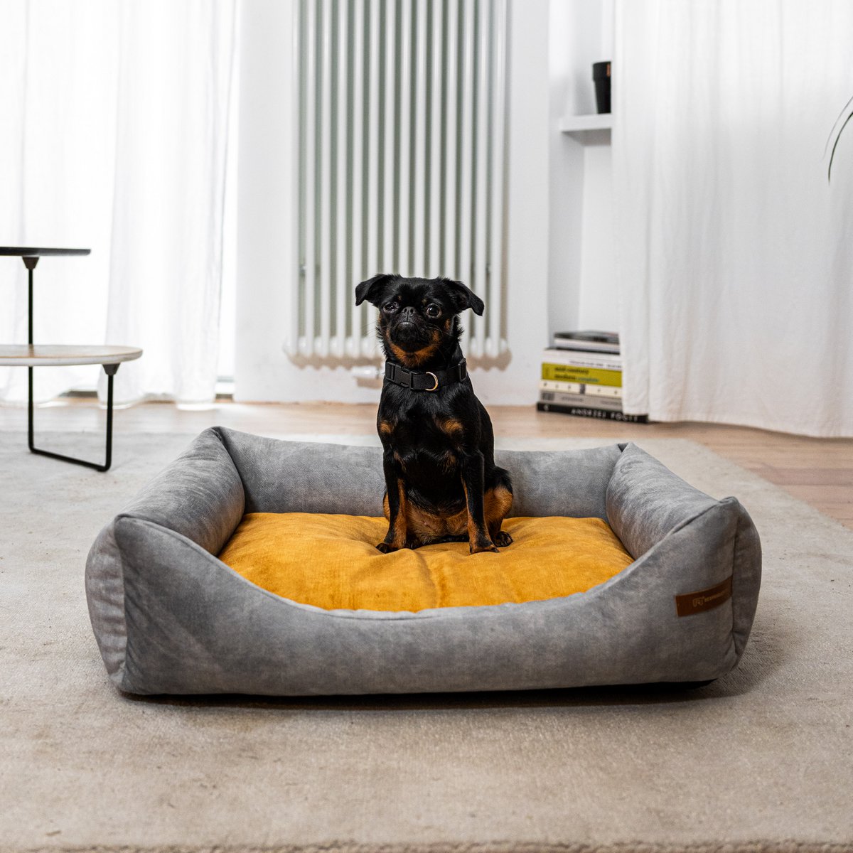 Cuccia per cani e gatti SoftColor - grigio chiaro/multicolore