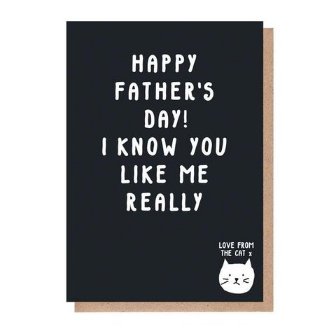 I Know You Like Me Really Father's Day Card From The Cat 