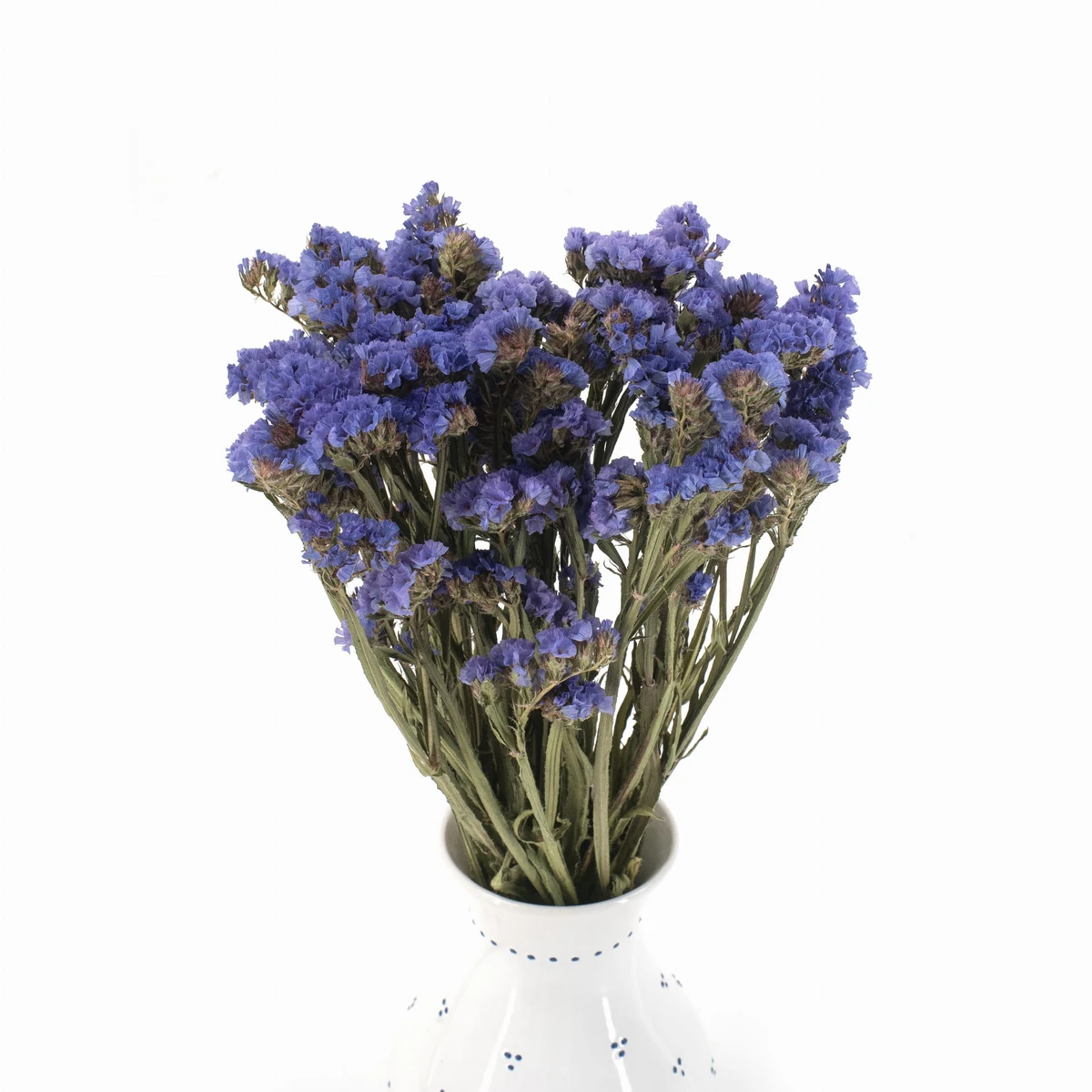Bouquet Statice Séché Bleu